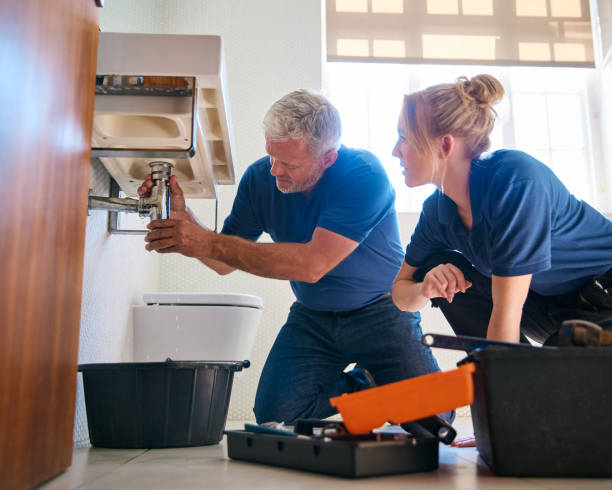 Best Plumbing Inspection Services  in Wahoo, NE